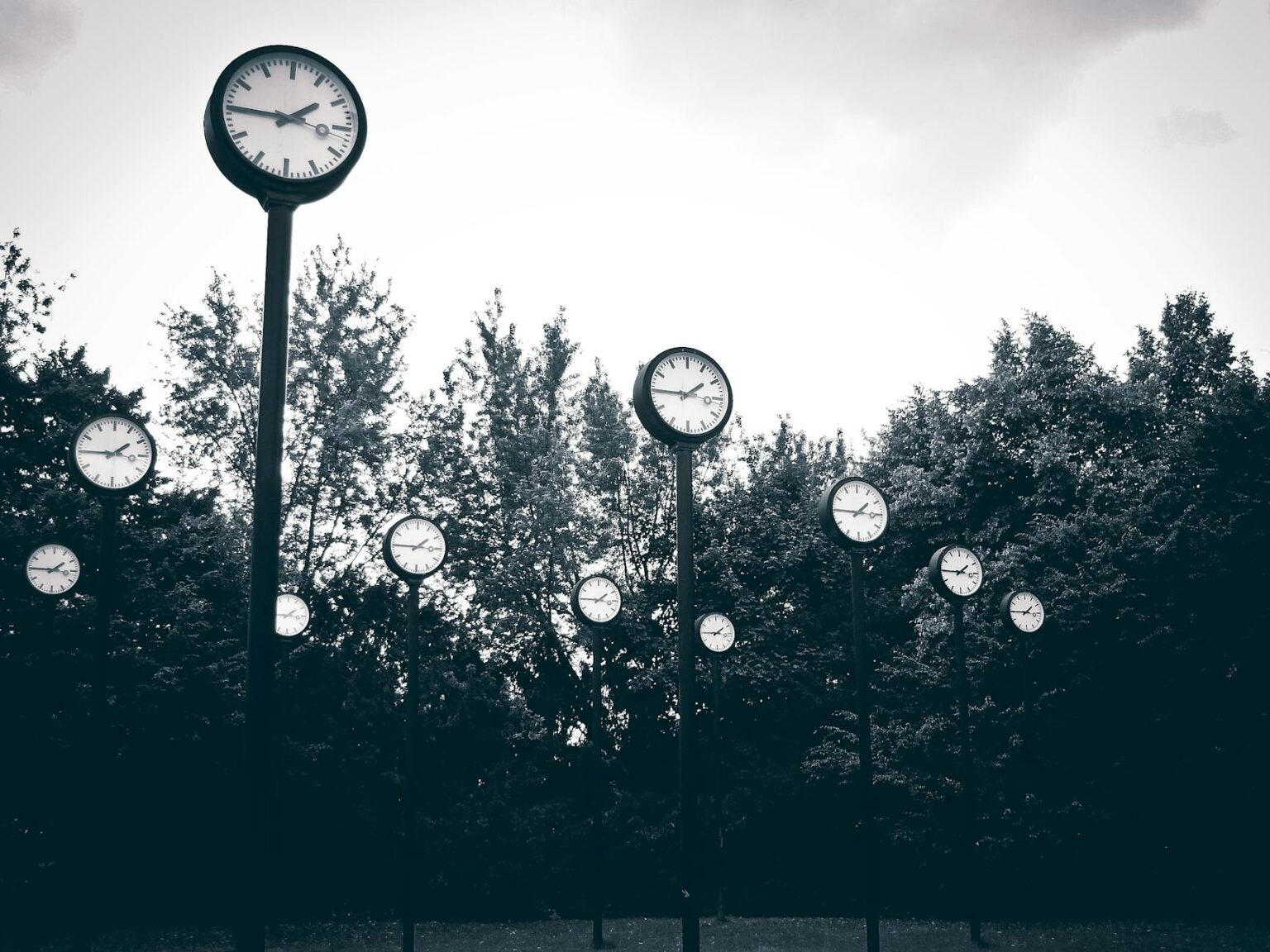 gray scale photography of clock near trees