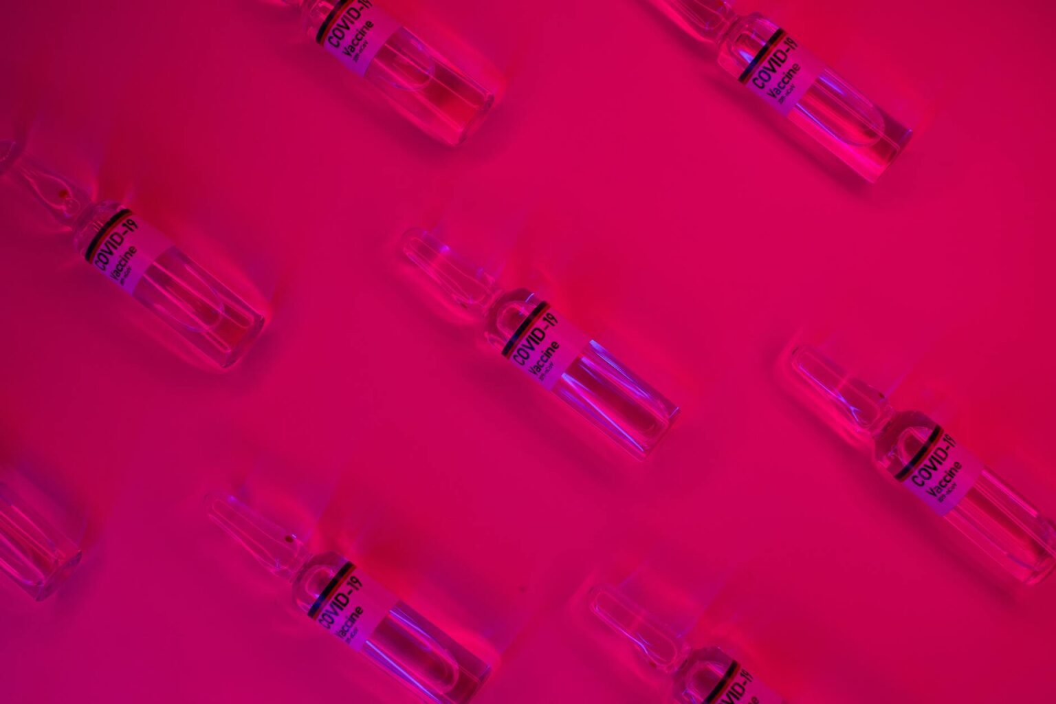 set of ampules with virus vaccine on fuchsia background