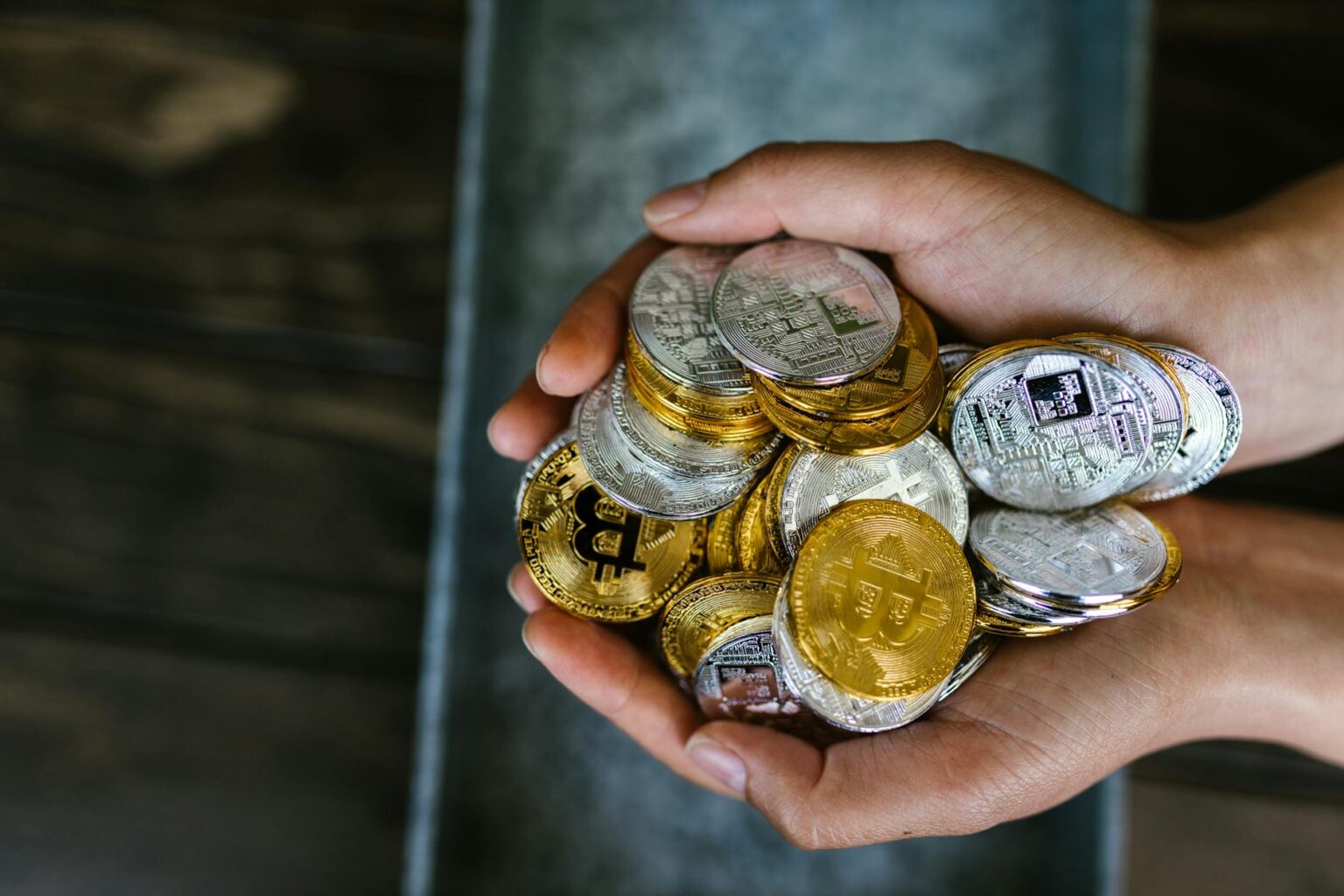 person holding gold and silver coins