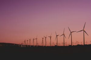 photo of wind turbines lot