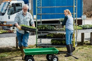 farmers carrying boxes with fresh vegetables