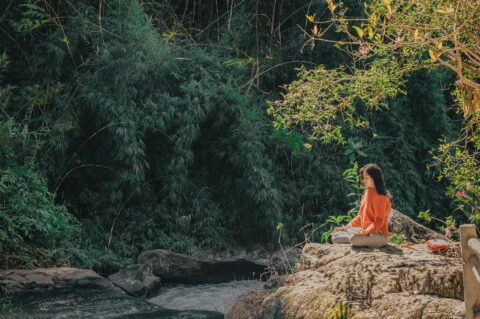 woman sitting on brown stone near green leaf trees at daytime