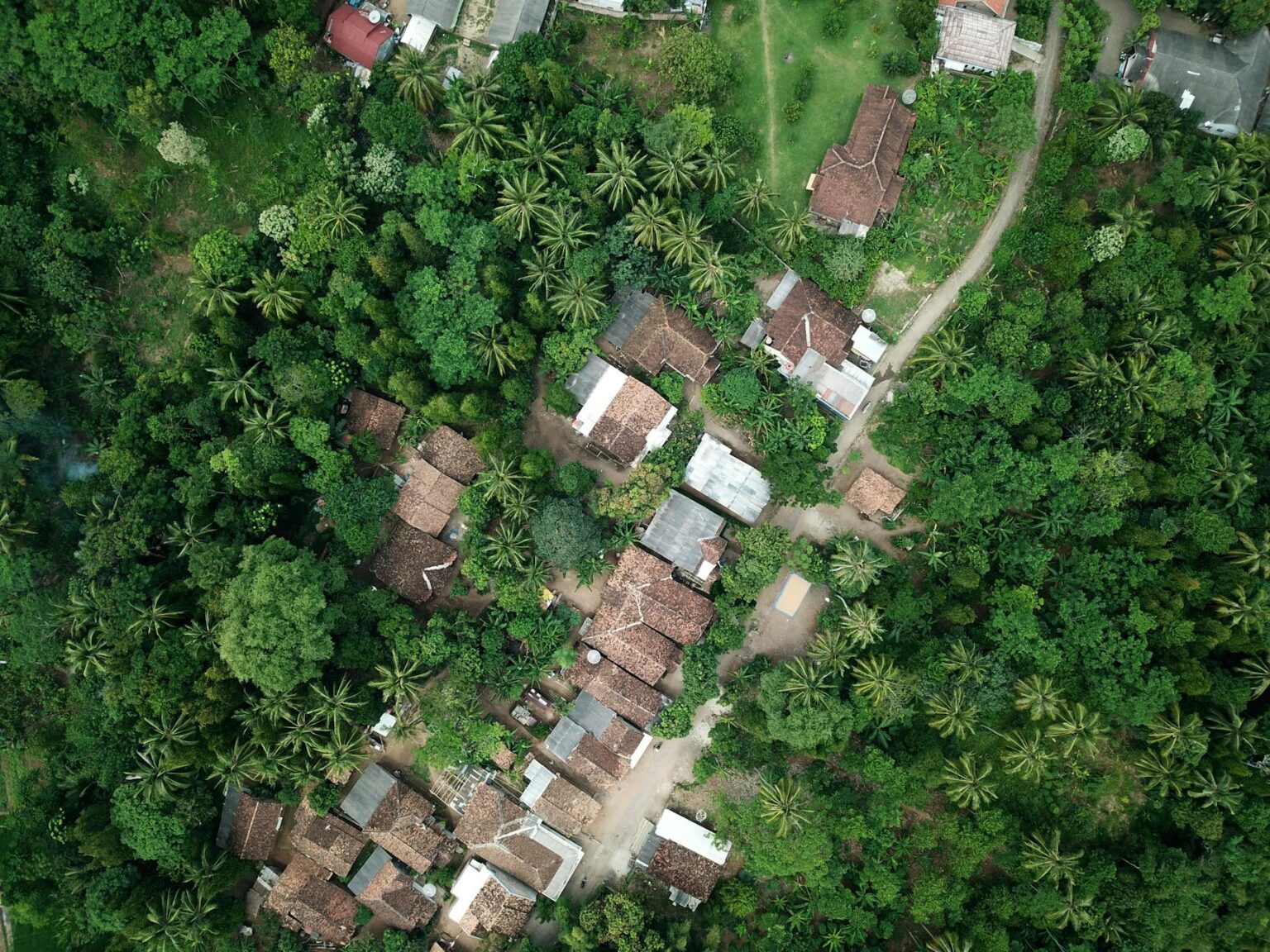 aerial view of sheds