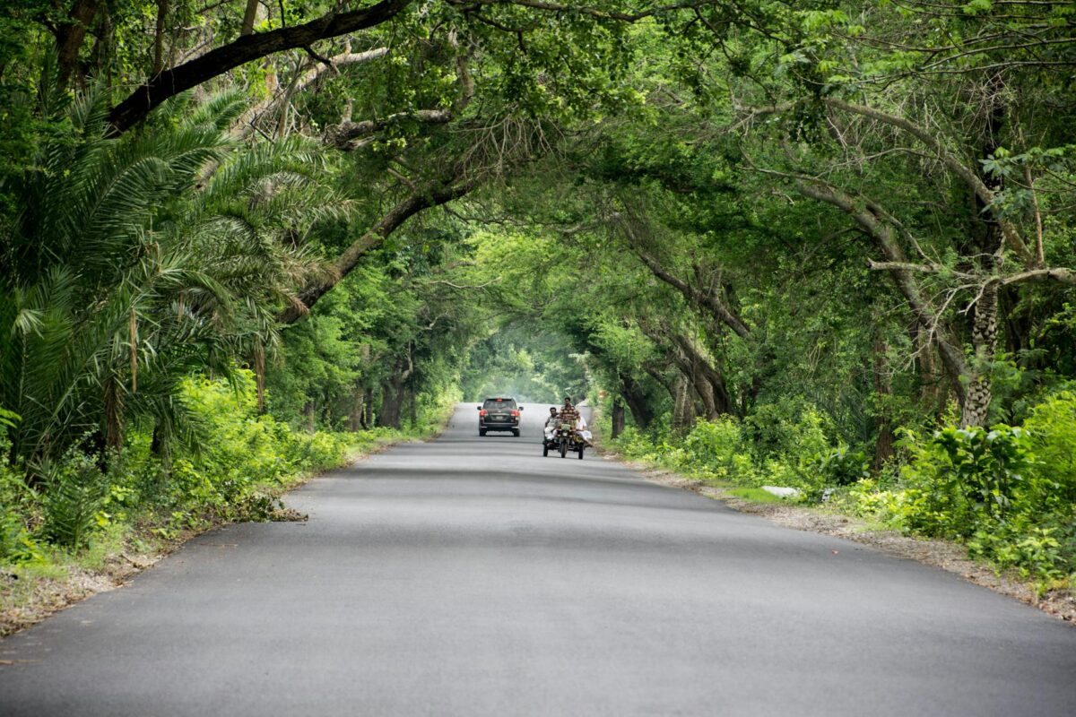 gray car in the middle of highway near green trees